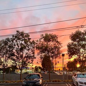 Meet your Posher, Matty